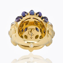 Load image into Gallery viewer, r41465-bgtowl