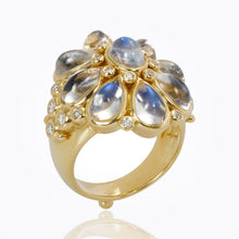 Load image into Gallery viewer, R41412-BLOSSMTZ