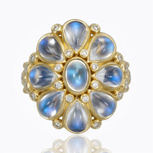 Load image into Gallery viewer, R41412-BLOSSMTZ