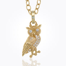 Load image into Gallery viewer, P31809-ATHENOWL