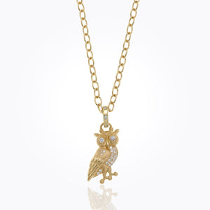 P31809-ATHENOWL
