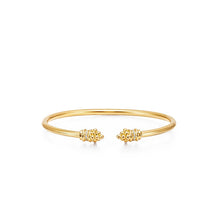 Load image into Gallery viewer, 18K Bellina Bangle