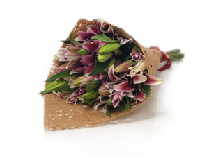 Bloomsy L