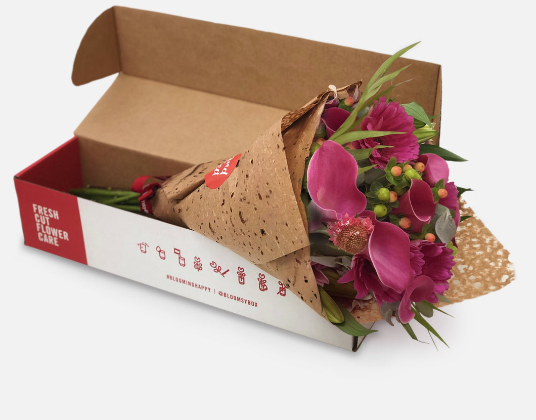 Bloomsy M  Auto renew